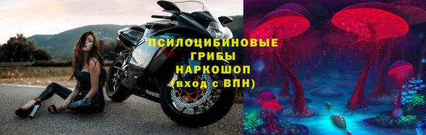 стафф Армянск