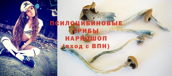 амф Аркадак